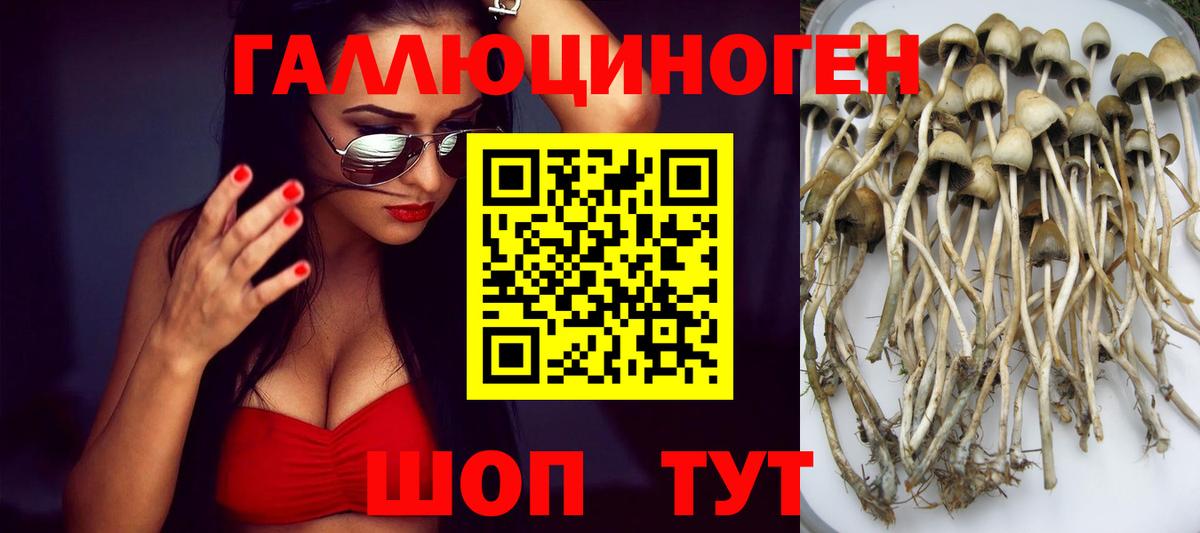 Галлюциногенные грибы ЛСД  Вход с VPN  Галлюциногенные грибы мицелий  Азнакаево 