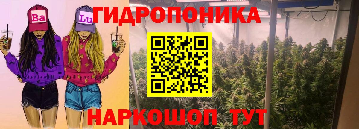 Бошки Шишки сатива Азнакаево